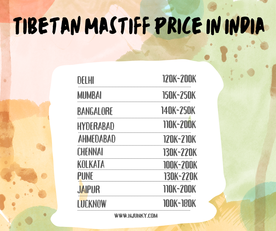 Tibetan Mastiff Price across different regions In India