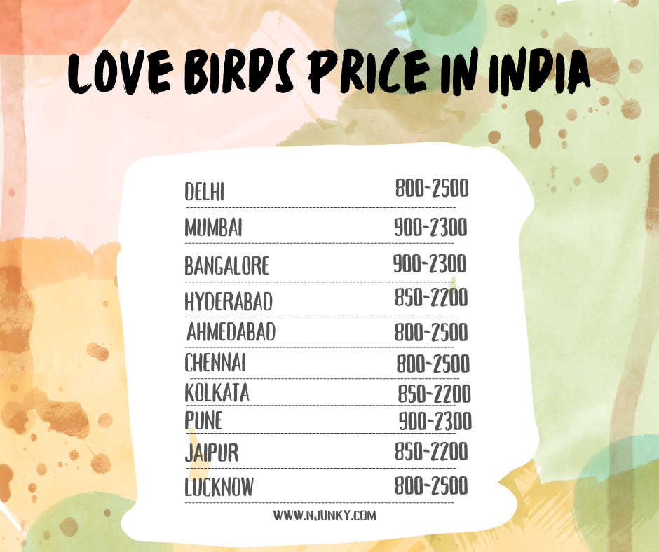 Love Birds Price across different regions In India