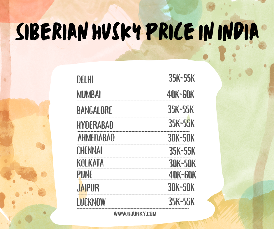 Siberian Husky Price across different regions In India