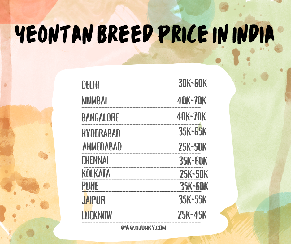Yeontan Breed Price across different regions In India