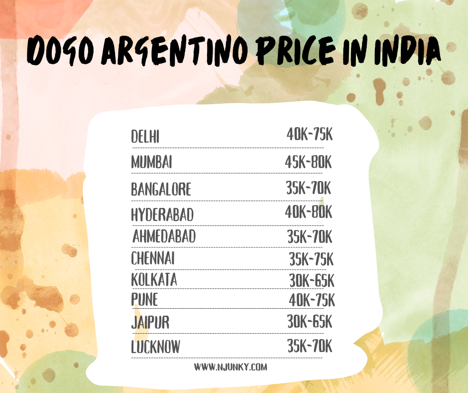 Dogo Argentino Price across different regions In India