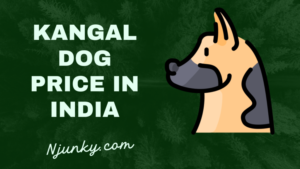 Kangal Dog Price In India